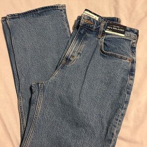 Women’s Abercrombie & Fitch Curve Love High Rise 90’s Relaxed Jean